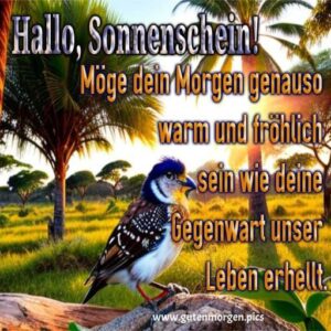 Besser schlafen: Tipps für eine erholsame Nacht