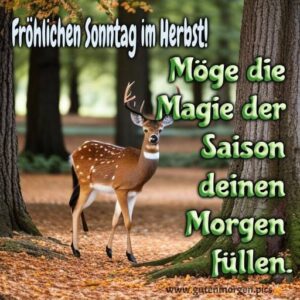 Erstaunlich Lustig Herbst Sonntag Fotos