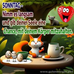 Elegantes Lustig Sonntag Bilder Fotos