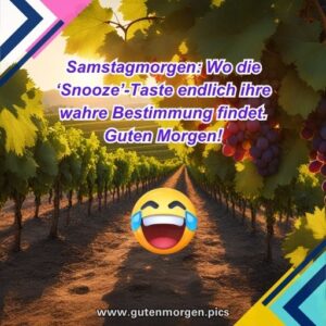 Starten Sie Ihr Wochenende Mit Einem Lachen Guten Morgen Samstag Lustig Kostenlosfeed